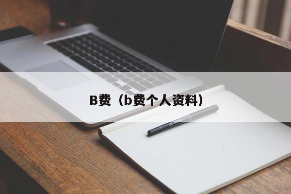 B费（b费个人资料）