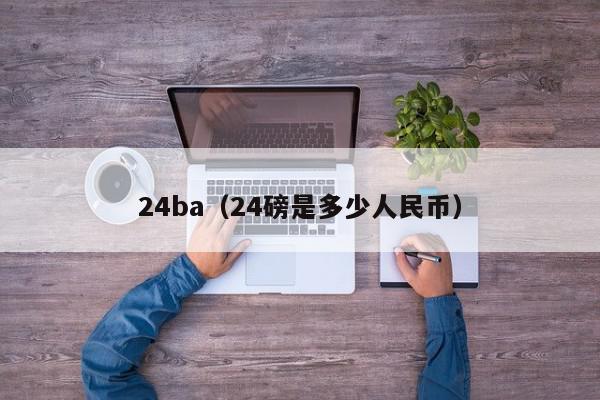 24ba（24磅是多少人民币）