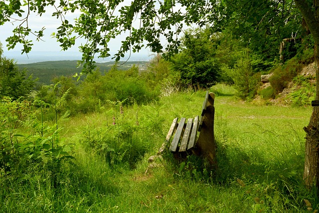 一个简单借 一个简单借