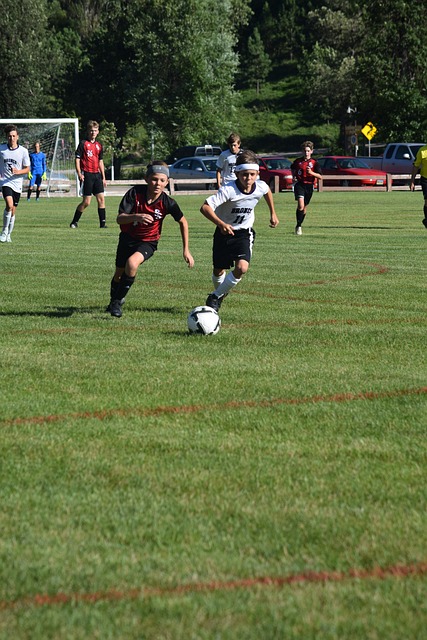 着独到的见 着独到的见