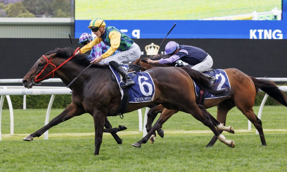 队的得分核 队的得分核