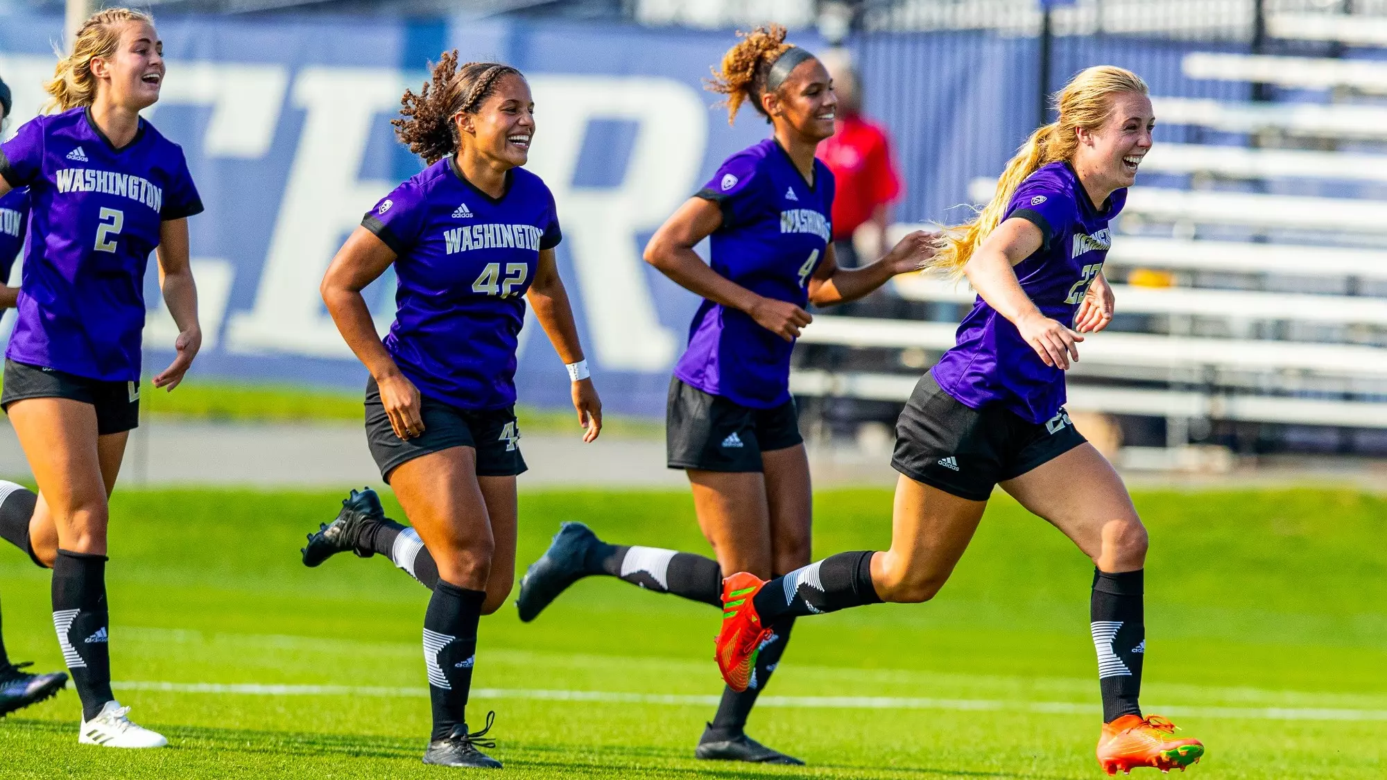 在场上和场 在场上和场